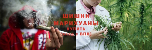мдпв Инсар