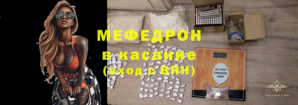 мдпв Инсар