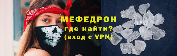 мдпв Инсар