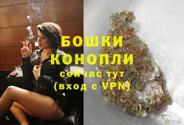 мдпв Инсар