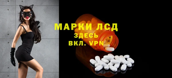 мдпв Инсар
