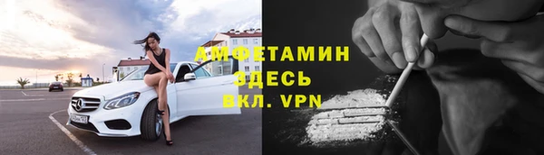 мдпв Инсар