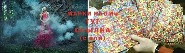 мдпв Инсар