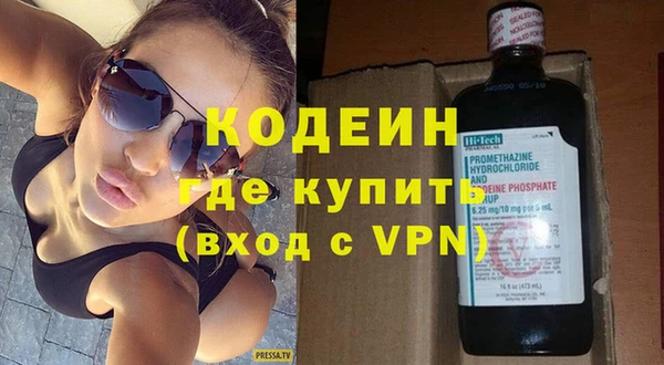 мдпв Инсар