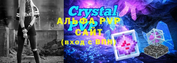 мдпв Инсар
