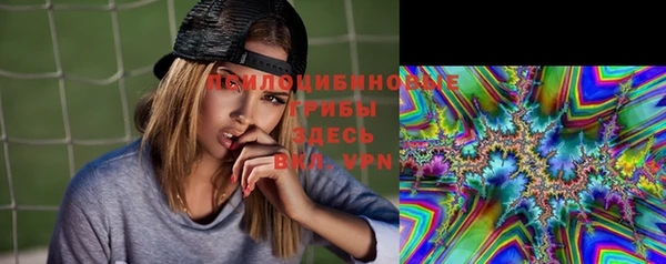 мдпв Инсар