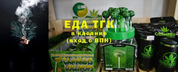 мдпв Инсар