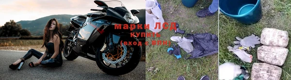 мдпв Инсар