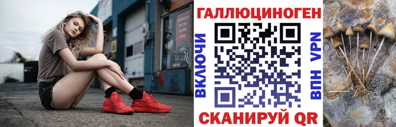 Псилоцибиновые грибы Magic Shrooms Купить где Пересвет